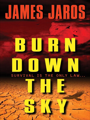 cover image of Burn Down the Sky